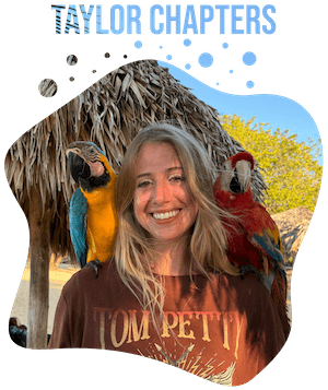 Taylor Chapters Parrots