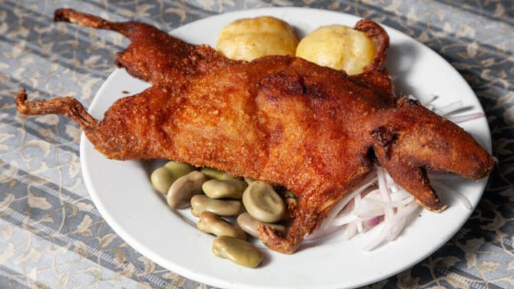 Peruvian fried cuy.