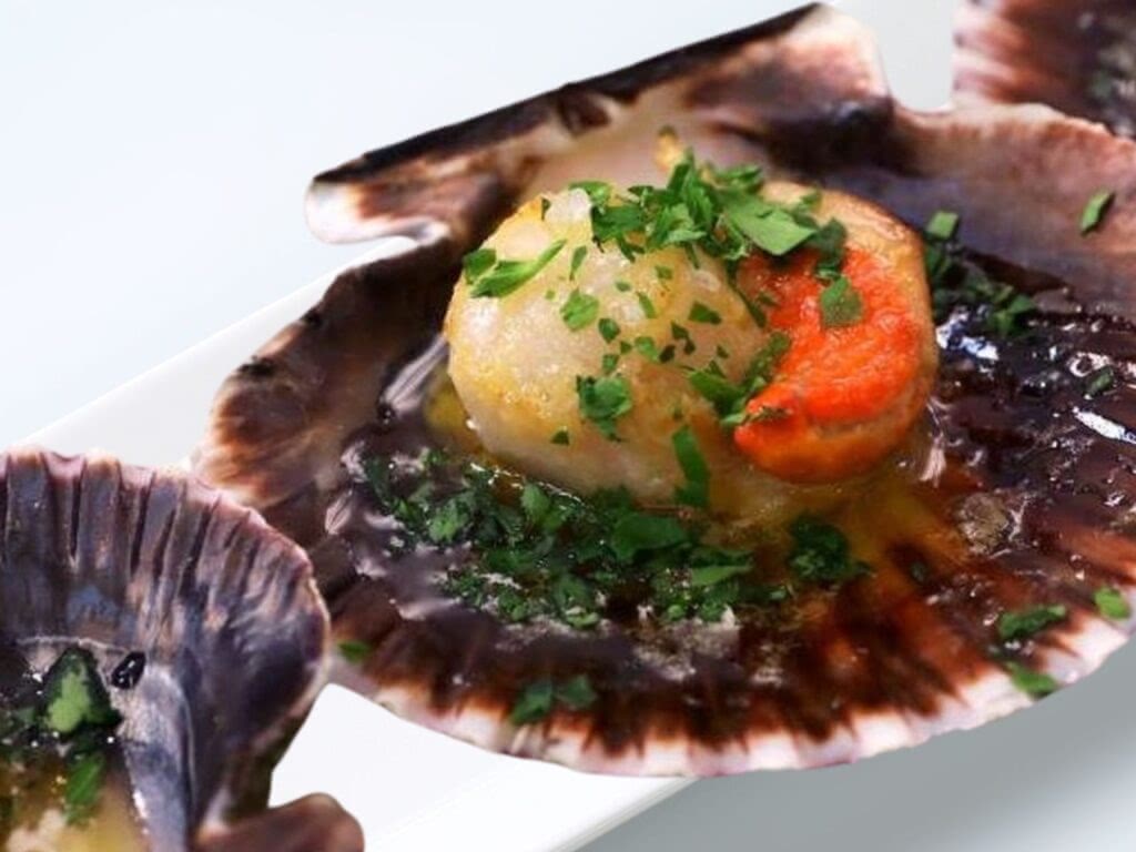 Scallops in Galicia.