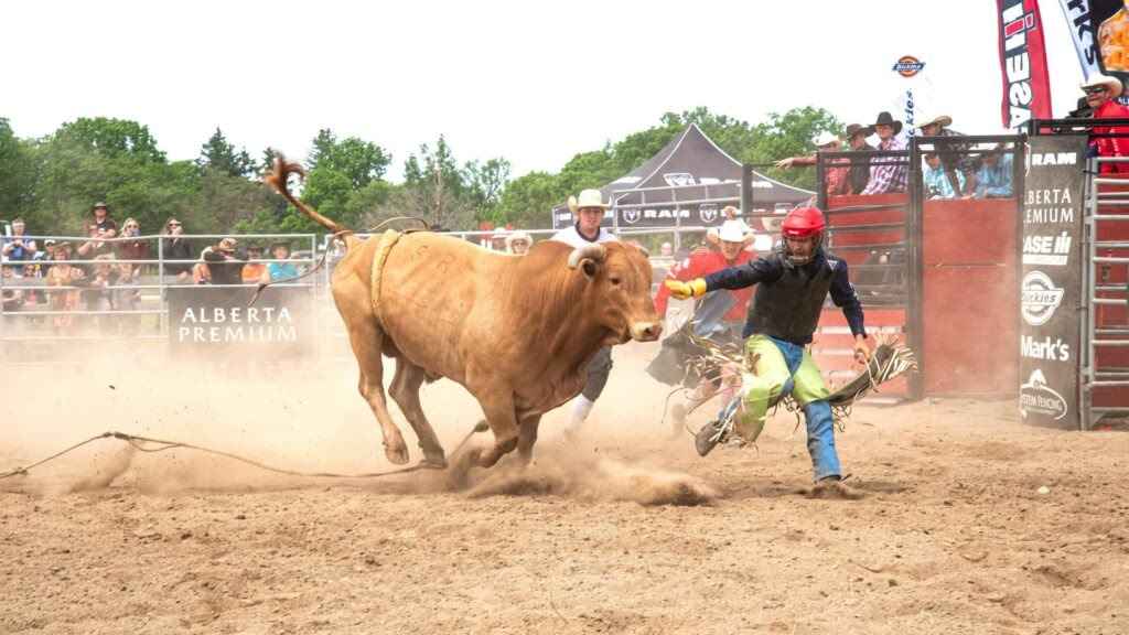 Mexican rodeo.